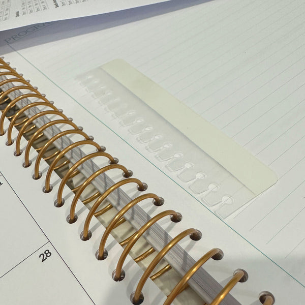 Graph Paper Page Inserts Pack