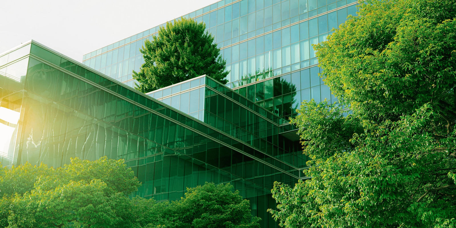 Embracing Sustainability: Green Practices in the Australian Construction Industry